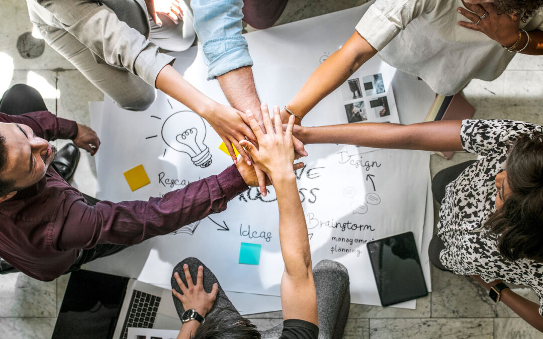 Transformational Organizations Begin with Transformational CEOs